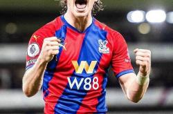 九游体育app-关于南安普顿客场大胜水晶宫，继续领先积分榜的信息