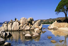 九游体育入口-热刺队主场拿下重要胜利，法甲球队惨遭挑战的简单介绍