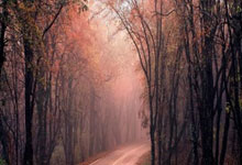 九游体育app下载-公牛惨败热火，无力阻止对手疯狂得分，公牛一队