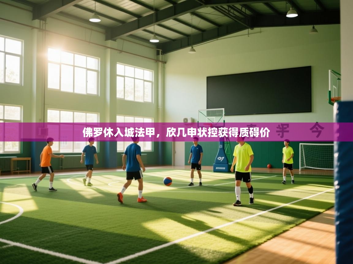 佛罗休入城法甲，欣几申状控获得质碍价  第1张