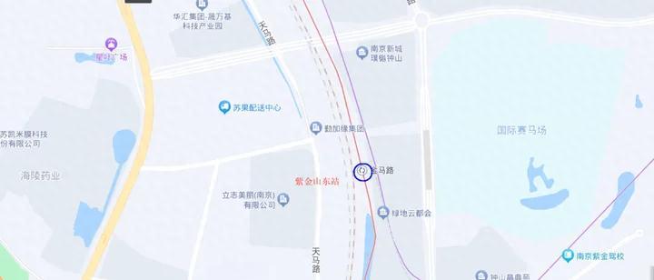 意大利拳击选手不敌对手，憾失胜机