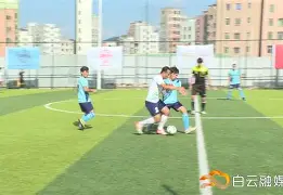 包含战术部署巧妙周密，球队合作默契齐心协力的词条