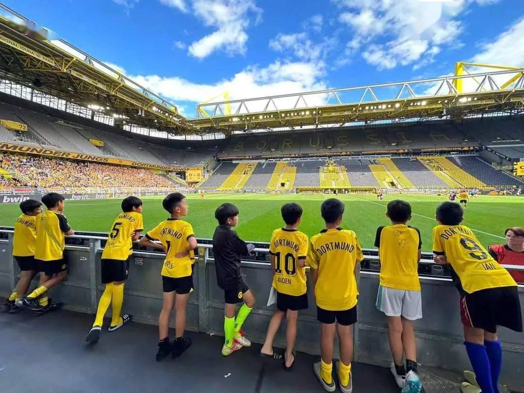 包含多特蒙德青训培养新星，欧冠赛场上演绝美进球的词条